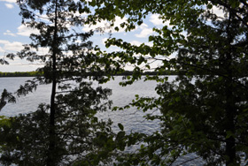 The lake seen through trees